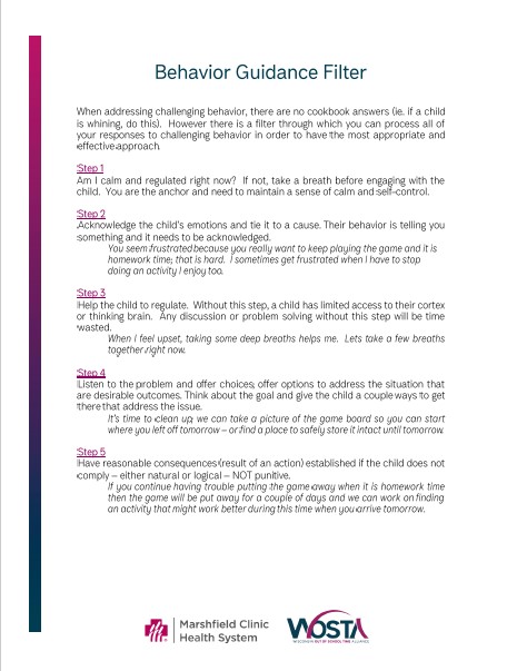 Behavior Guidance Filter handout